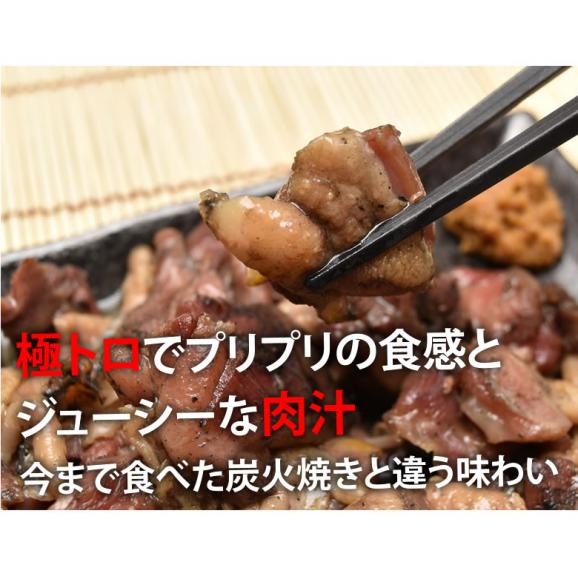 鶏もも炭火焼き 送料無料 本場 宮崎名物 100g ポイント消化 お取り寄せ 国産 おつまみ 焼き鳥 地鶏 鶏06