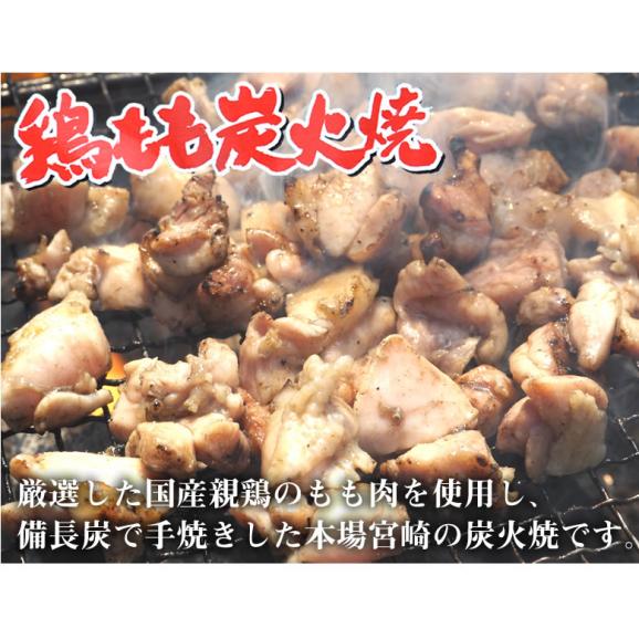 送料無料 鶏もも炭火焼き 本場 宮崎名物 100g×2 ポイント消化 お取り寄せ ポッキリ 国産 おつまみ 焼き鳥 地鶏 鶏02