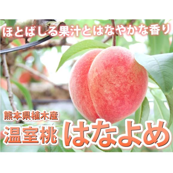 桃 はなよめ 送料無料 秀品 約1kg 5～6玉入り 2箱購入で1箱おまけ クール便でお届け 温室桃 熊本植木産 千代姫 日川白凰 白凰 もも ピーチ フルーツ02