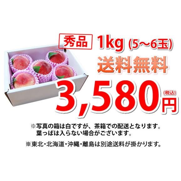 桃 はなよめ 送料無料 秀品 約1kg 5～6玉入り 2箱購入で1箱おまけ クール便でお届け 温室桃 熊本植木産 千代姫 日川白凰 白凰 もも ピーチ フルーツ03