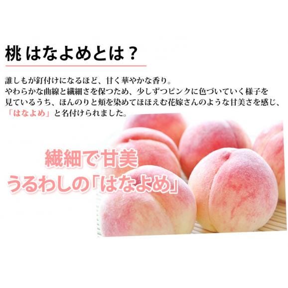 桃 はなよめ 送料無料 秀品 約1kg 5～6玉入り 2箱購入で1箱おまけ クール便でお届け 温室桃 熊本植木産 千代姫 日川白凰 白凰 もも ピーチ フルーツ05