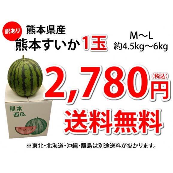 スイカ 訳あり すいか 送料無料 熊本すいか 1玉 約4.5kg～6kg M～L 大玉すいか 熊本県産 すいか 西瓜 フルーツ04