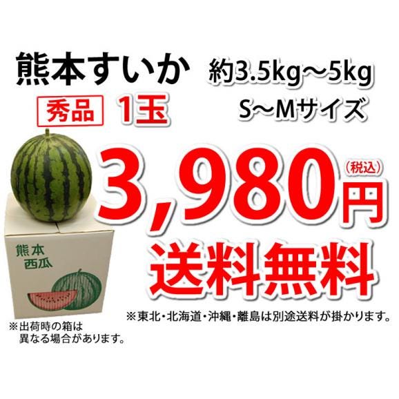 スイカ すいか 送料無料 熊本すいか 秀品 1玉 約3.5kg～5kg お取り寄せ 熊本県産 西瓜 フルーツ04