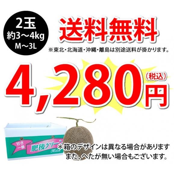 メロン 肥後グリーンメロン 送料無料 2玉 約3～4kg M～3L 熊本県産 肥後グリーン お取り寄せ フルーツ04