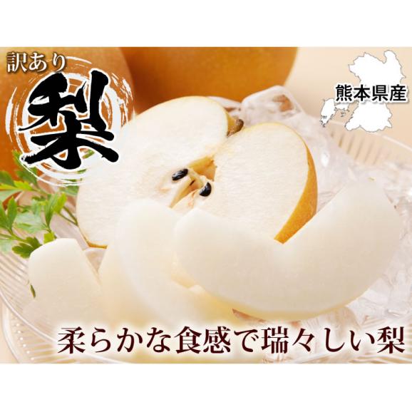 梨 送料無料 訳あり 3kg お取り寄せ 九州産 ナシ 和梨 幸水 豊水 秋月 新高 新興 愛宕02