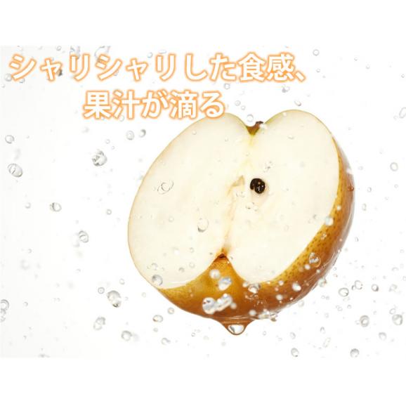 梨 送料無料 訳あり 3kg お取り寄せ 九州産 ナシ 和梨 幸水 豊水 秋月 新高 新興 愛宕03