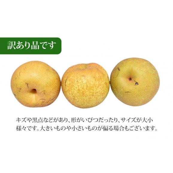 梨 送料無料 訳あり 3kg お取り寄せ 九州産 ナシ 和梨 幸水 豊水 秋月 新高 新興 愛宕05