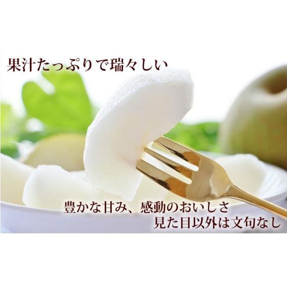梨 送料無料 訳あり 3kg お取り寄せ 九州産 ナシ 和梨 幸水 豊水 秋月 新高 新興 愛宕06