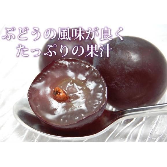 ぶどう 巨峰 約1.2kg（約300g×4パック） 送料無料 福岡・熊本県産 〈クール便でお届け〉きょほう 葡萄 黒ぶどう 藤稔 ピオーネ03