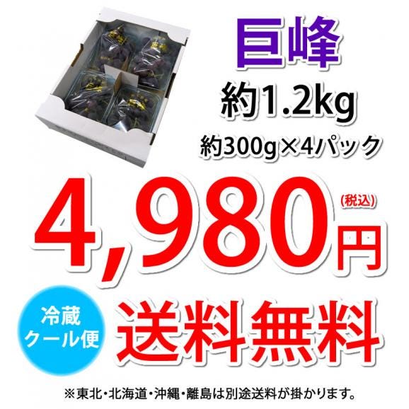 ぶどう 巨峰 約1.2kg（約300g×4パック） 送料無料 福岡・熊本県産 〈クール便でお届け〉きょほう 葡萄 黒ぶどう 藤稔 ピオーネ04