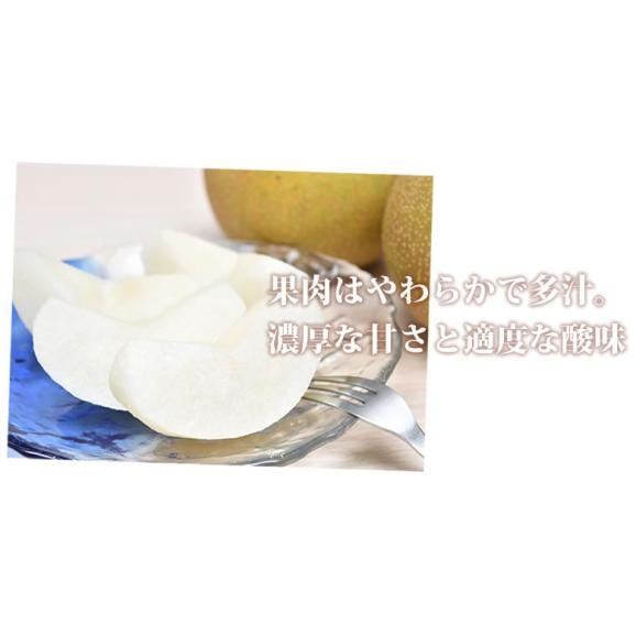 梨 豊水 送料無料 秀品 約3kg 熊本県産 お取り寄せ お取り寄せグルメ フルーツ ナシ なし 幸水 秋月 新高03