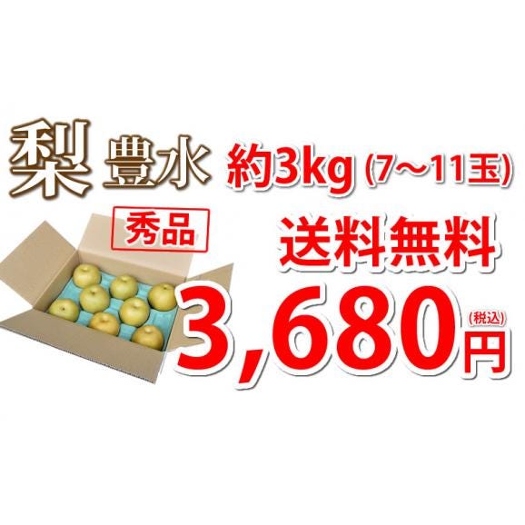 梨 豊水 送料無料 秀品 約3kg 熊本県産 お取り寄せ お取り寄せグルメ フルーツ ナシ なし 幸水 秋月 新高04