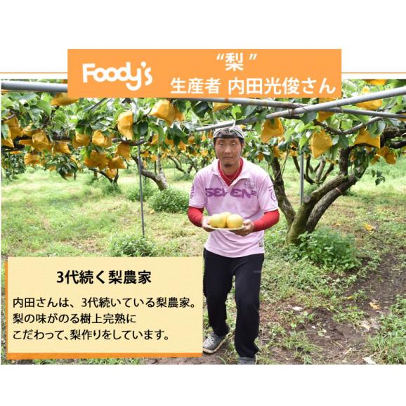梨 豊水 送料無料 秀品 約3kg 熊本県産 お取り寄せ お取り寄せグルメ フルーツ ナシ なし 幸水 秋月 新高05