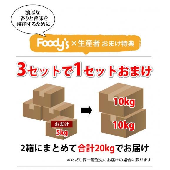 みかん 5kg 熊本みかん 送料無料 秀品 2S～L 3セット購入で1セットおまけ 熊本県産 極早生みかん お取り寄せ 蜜柑 ミカン04