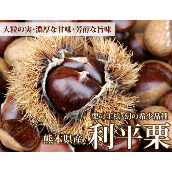 利平栗 栗 送料無料 1kg L～2L クール便 2セットで1セットおまけ 3セットで2セットおまけ 熊本県産 幻の高級和栗 生栗 くり クリ 渋皮煮02