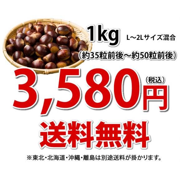 利平栗 栗 送料無料 1kg L～2L クール便 2セットで1セットおまけ 3セットで2セットおまけ 熊本県産 幻の高級和栗 生栗 くり クリ 渋皮煮03