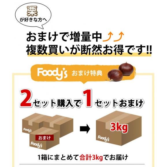 利平栗 栗 送料無料 1kg L～2L クール便 2セットで1セットおまけ 3セットで2セットおまけ 熊本県産 幻の高級和栗 生栗 くり クリ 渋皮煮04