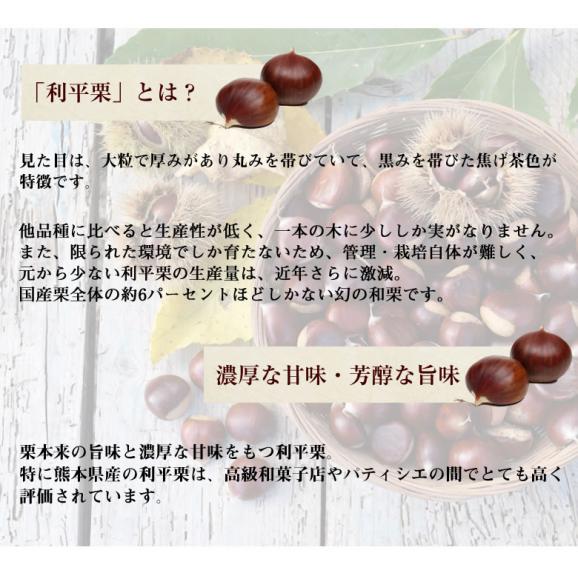 利平栗 栗 送料無料 1kg L～2L クール便 2セットで1セットおまけ 3セットで2セットおまけ 熊本県産 幻の高級和栗 生栗 くり クリ 渋皮煮06