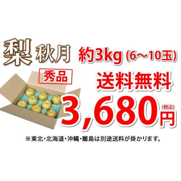 梨 秋月 送料無料 秀品 約3kg 6〜10玉 熊本県産 お取り寄せ フルーツ ナシ なし 幸水 秋月 新高04