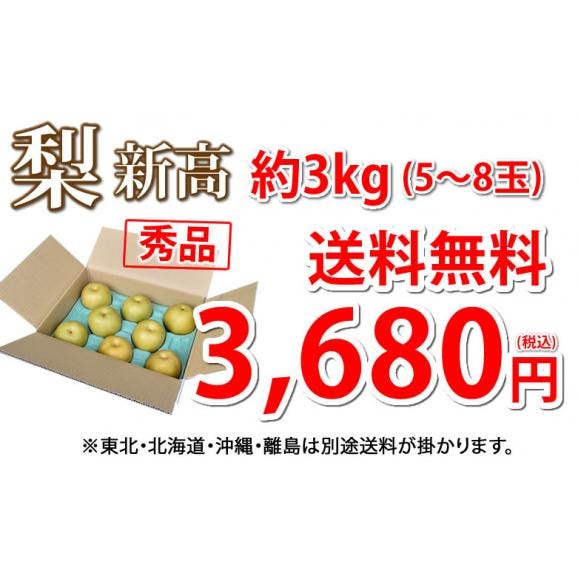 梨 新高 送料無料 秀品 約3kg 5〜8玉 熊本県産 お取り寄せ フルーツ ナシ なし 豊水 秋月04