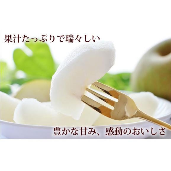 梨 新高 送料無料 秀品 約3kg 5〜8玉 熊本県産 お取り寄せ フルーツ ナシ なし 豊水 秋月06