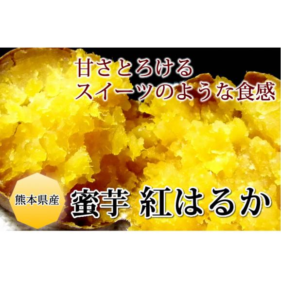 紅はるか さつまいも 送料無料 4.5kg 熊本県産 サツマイモ 紅蜜芋 焼き芋 芋 いも02