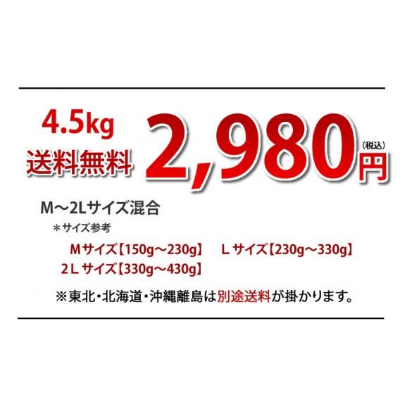 紅はるか さつまいも 送料無料 4.5kg 熊本県産 サツマイモ 紅蜜芋 焼き芋 芋 いも03