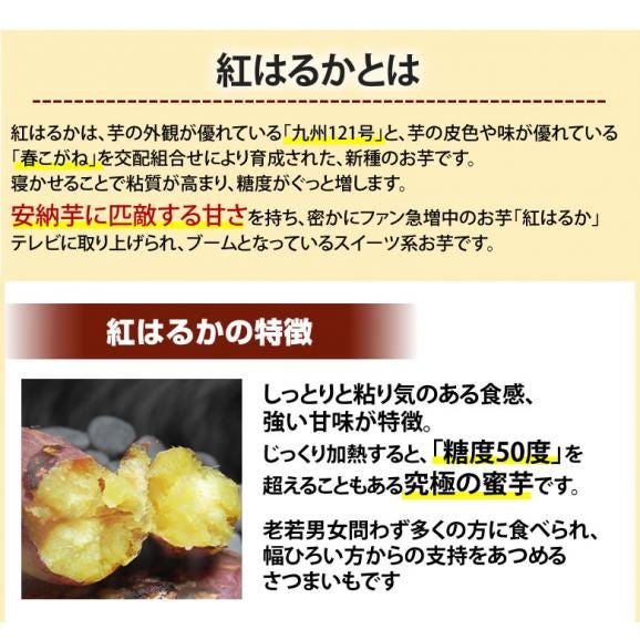 紅はるか さつまいも 送料無料 4.5kg 熊本県産 サツマイモ 紅蜜芋 焼き芋 芋 いも04