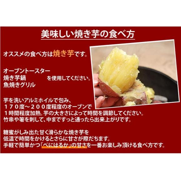 紅はるか さつまいも 送料無料 4.5kg 熊本県産 サツマイモ 紅蜜芋 焼き芋 芋 いも06