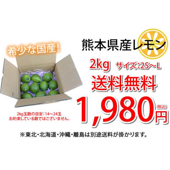 レモン 国産レモン 送料無料 熊本県産 2kg 2S～L 3箱購入で1箱おまけ 減農薬 防腐剤ワックス不使用 れもん グリーンレモン 国産03