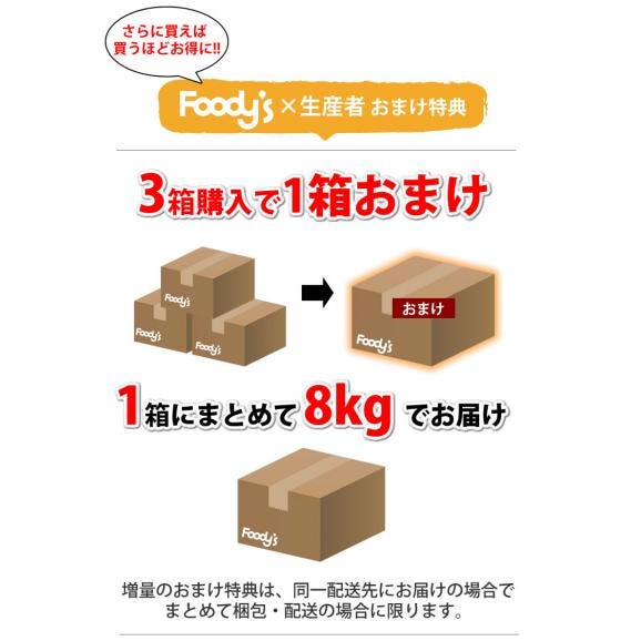 レモン 国産レモン 送料無料 熊本県産 2kg 2S～L 3箱購入で1箱おまけ 減農薬 防腐剤ワックス不使用 れもん グリーンレモン 国産04