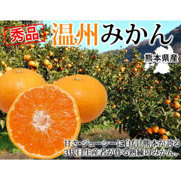 みかん 10kg 送料無料 温州みかん 秀品 熊本県産 蜜柑 ミカン02