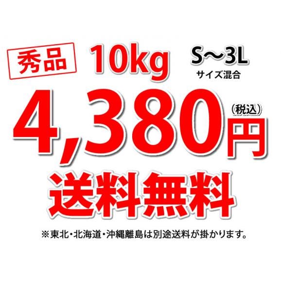 みかん 10kg 送料無料 温州みかん 秀品 熊本県産 蜜柑 ミカン03