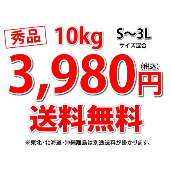 みかん 10kg 送料無料 温州みかん 秀品 熊本県産 蜜柑 ミカン03