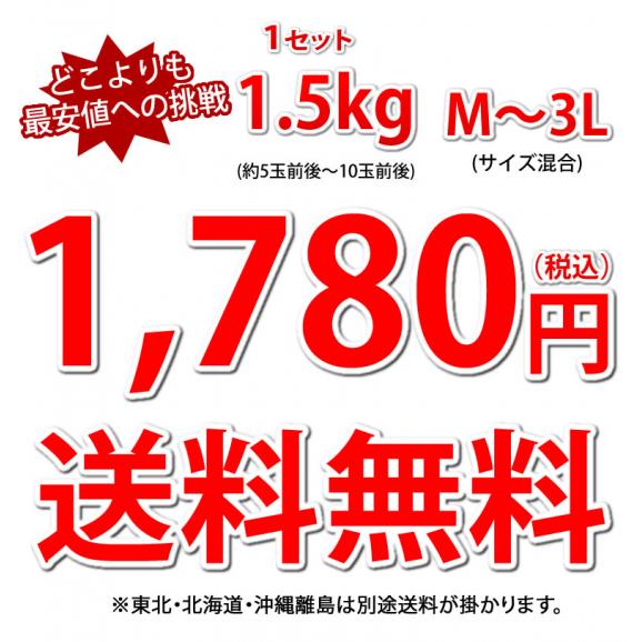 デコポン 同品種 デコみかん 訳あり 送料無料 ハウス栽培 1.5kg 2セット購入で1セットおまけ 3セット購入で3セットおまけ みかん 熊本県産 不知火 ミカン 蜜柑05