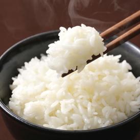 くまさんの輝き 米 送料無料 2kg 令和5年産 熊本県産 お米 白米 玄米 コシヒカリ ヒノヒカリ 森のくまさん