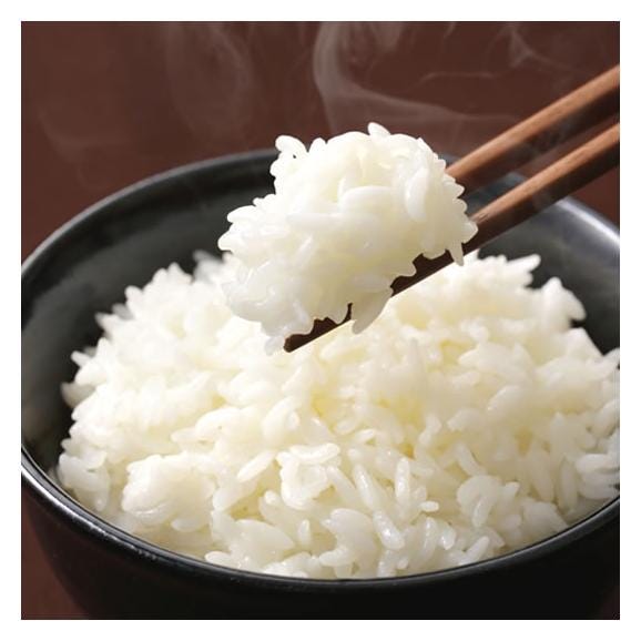 くまさんの輝き 米 送料無料 2kg 令和5年産 熊本県産 お米 白米 玄米 コシヒカリ ヒノヒカリ 森のくまさん01