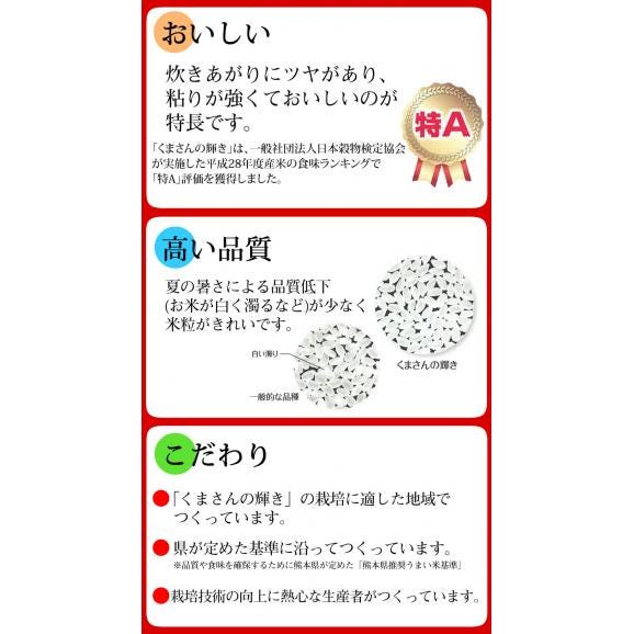 くまさんの輝き 米 5kg 送料無料 令和5年産 熊本県産 お米 白米 玄米 コシヒカリ ヒノヒカリ 森のくまさん05