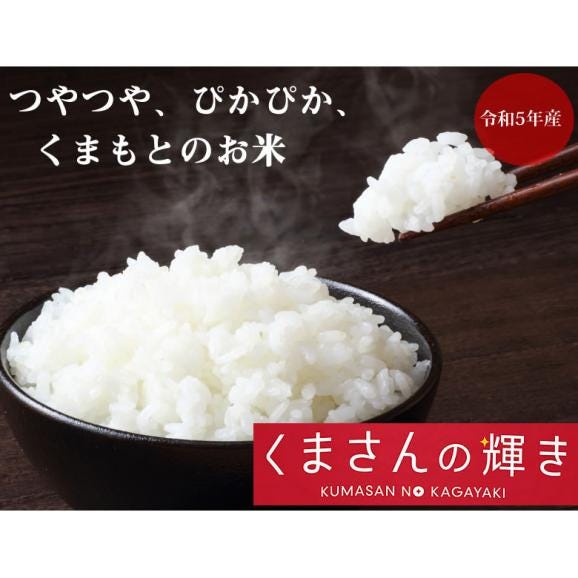くまさんの輝き 米 10kg (5kg×2） 送料無料 令和5年産 熊本県産 お米 白米 玄米 コシヒカリ ヒノヒカリ 森のくまさん02
