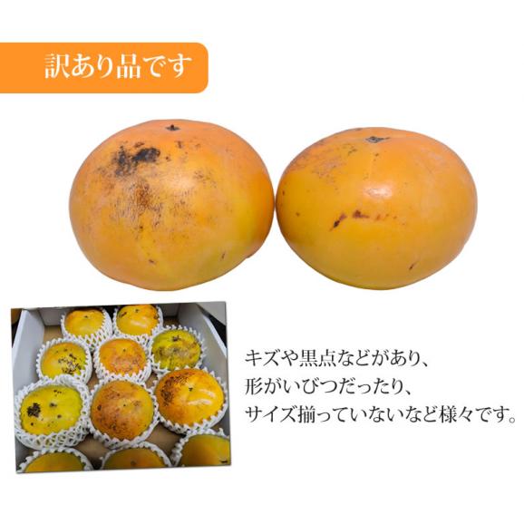 太秋柿 柿 訳あり 送料無料 約3kg 熊本・福岡県産 お取り寄せ フルーツ 太秋 たいしゅうがき 甘柿 かき カキ03