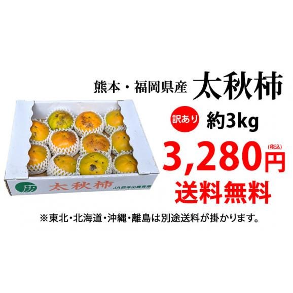 太秋柿 柿 訳あり 送料無料 約3kg 熊本・福岡県産 お取り寄せ フルーツ 太秋 たいしゅうがき 甘柿 かき カキ04