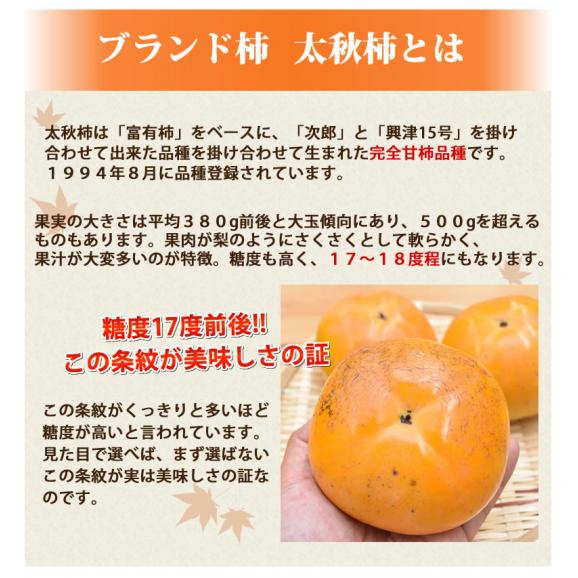 太秋柿 柿 訳あり 送料無料 約3kg 熊本・福岡県産 お取り寄せ フルーツ 太秋 たいしゅうがき 甘柿 かき カキ05