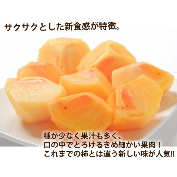 太秋柿 柿 訳あり 送料無料 約3kg 熊本・福岡県産 お取り寄せ フルーツ 太秋 たいしゅうがき 甘柿 かき カキ06