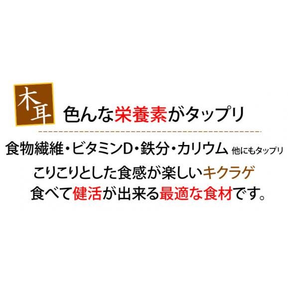 きくらげ 乾燥木耳 送料無料 希少な国産 スライス 20g×2袋 熊本県産04