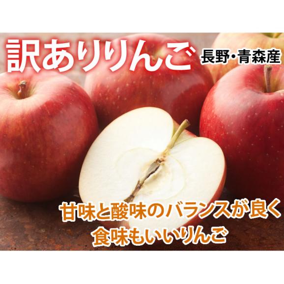 りんご 訳あり リンゴ 送料無料 約1.5kg 長野・青森県産 2セットで1セットおまけ サンふじ つがる ジョナゴールド ふじ 林檎02