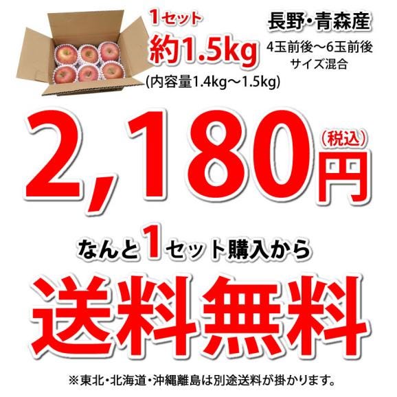 りんご 訳あり リンゴ 送料無料 約1.5kg 長野・青森県産 2セットで1セットおまけ サンふじ つがる ジョナゴールド ふじ 林檎03