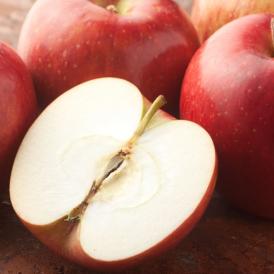 りんご 訳あり 約5kg（4.5〜5kg） リンゴ 送料無料 長野・青森県産 サンふじ つがる ジョナゴールド ふじ 林檎