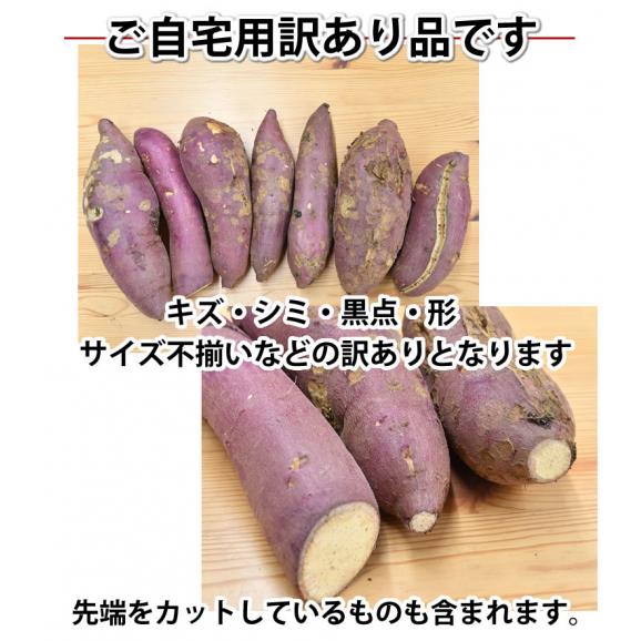 無農薬大分産ブランド芋サツマイモ貯蔵熟成紅はるか20キロ送料無料SMLA品