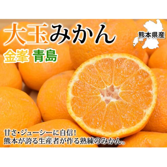 大玉みかん 5kg 2L~4L 秀品 金峯 青島 みかん 送料無料 温州みかん 熊本県産 蜜柑 ミカン02