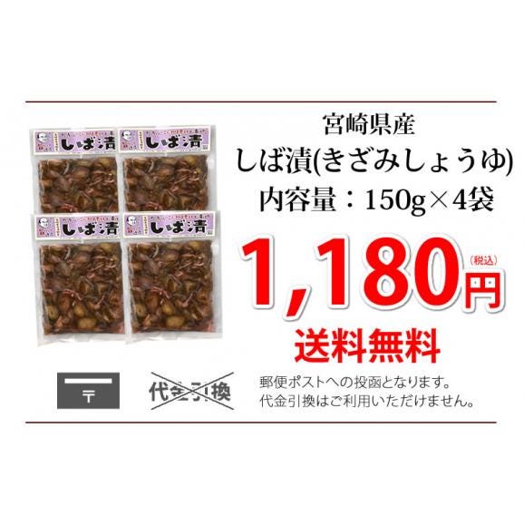 しば漬 漬物 きざみきゅうり漬け 150g×4袋 送料無料 宮崎県産 きゅうり しそ しょうが なす みょうが つけもの03